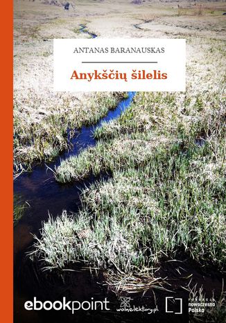 Anykšči šilelis Antanas Baranauskas - okladka książki