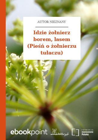 Idzie żołnierz borem, lasem (Pieśń o żołnierzu tułaczu) Autor nieznany - okladka książki