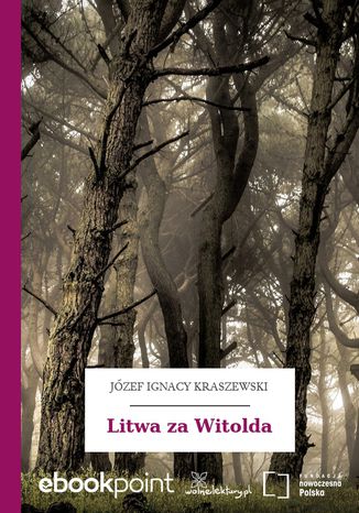 Litwa za Witolda Józef Ignacy Kraszewski - okladka książki