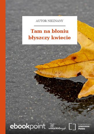 Tam na błoniu błyszczy kwiecie Autor nieznany - okladka książki