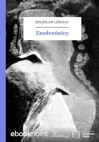 Zazdrośnicy Bolesław Leśmian - okladka książki