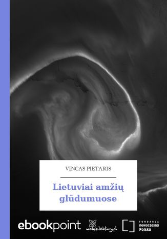 Lietuviai amži gldumuose Vincas Pietaris - okladka książki