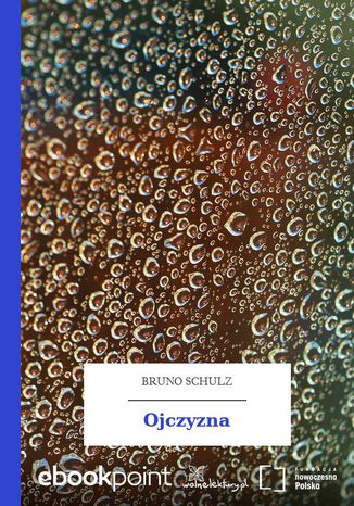 Ojczyzna Bruno Schulz - okladka książki