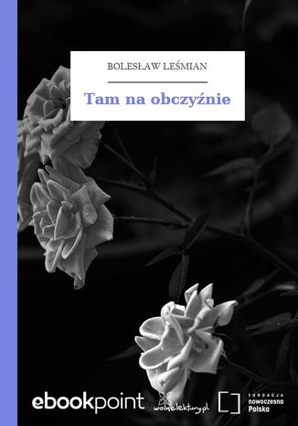 Tam na obczyźnie Bolesław Leśmian - okladka książki