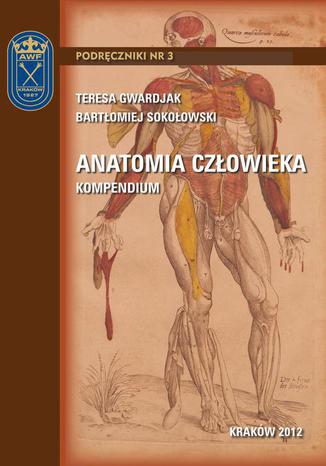 Anatomia człowieka - kompendium Teresa Gwardjak, Bartłomiej Sokołowski - okladka książki