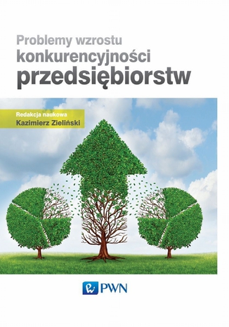 Problemy wzrostu konkurencyjności przedsiębiorstw Kazimierz Zieliński - okladka książki