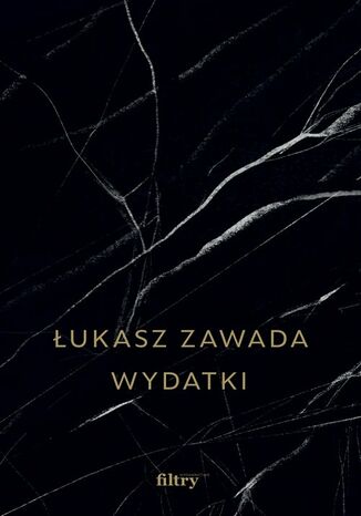 Wydatki Łukasz Zawada - audiobook MP3