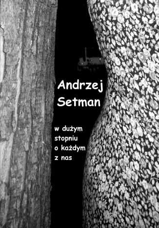 W dużym stopniu o każdym z nas (opowiadania) Andrzej Setman - okladka książki