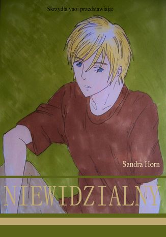 Niewidzialny Sandra Horn - okladka książki