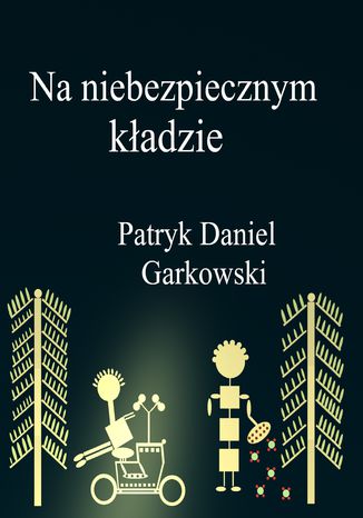 Na niebezpiecznym kładzie Patryk Daniel Garkowski - okladka książki