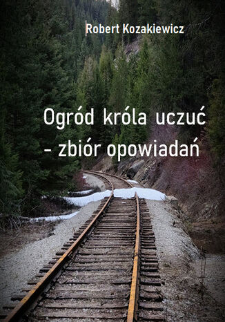 Ogród króla uczuć - Zbiór opowiadań Robert Kozakiewicz - okladka książki