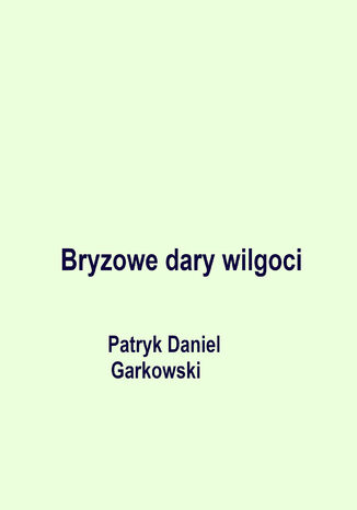 Bryzowe dary wilgoci Patryk Daniel Garkowski - okladka książki