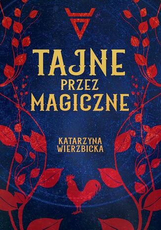 Tajne przez magiczne Katarzyna Wierzbicka - okladka książki