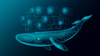 Okładka - Docker. Kurs video. Podstawy konteneryzacji - Piotr Chudzik