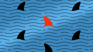 Okładka - Wireshark. Kurs video. Zaawansowana analiza danych i ruchu sieciowego z wykrywaniem włamań - Adam Józefiok