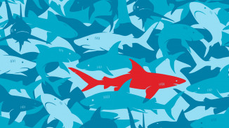 Okładka - Wireshark. Kurs video. Podstawy analizy ruchu sieciowego i wykrywania włamań - Adam Józefiok