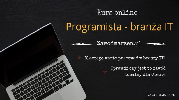 Okładka - Zawód marzeń. Zostań programistą branży IT - Sebastian Dąbrowski