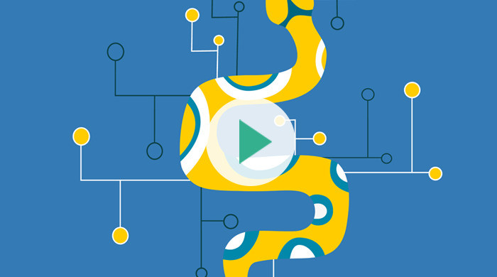Okładka - Receptura na Python. Kurs Video. 54 praktyczne porady dla programistów - Karol Kurek
