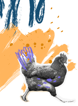 Grafika z kurą po lewej stronie