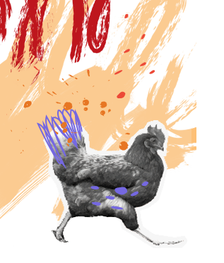 Grafika z kurą po lewej stronie