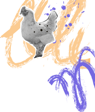 Grafika z kurą po prawej stronie