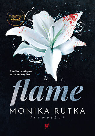 Flame Monika Rutka Trylogia The Chain