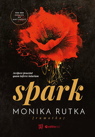 Spark Monika Rutka seria The Chain 
