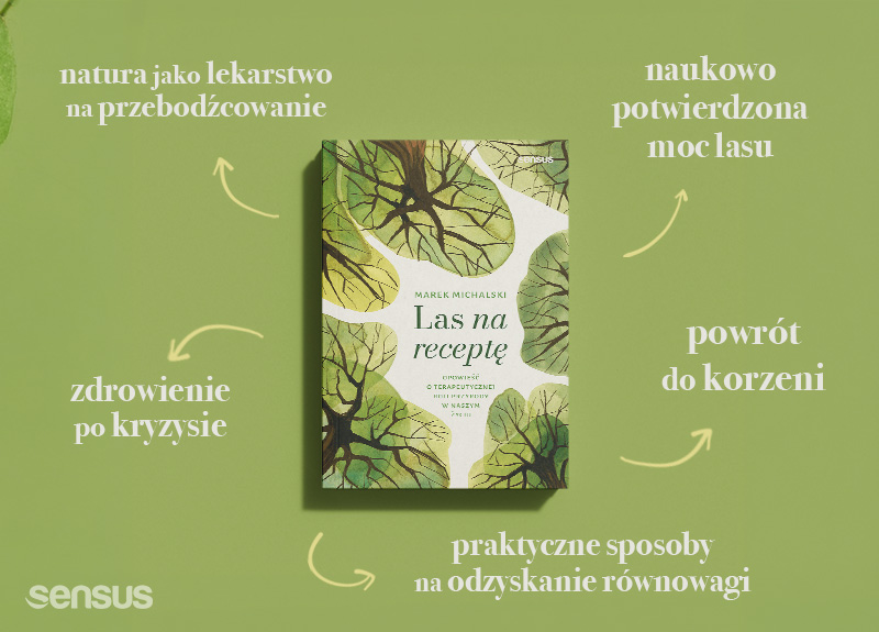 Las na receptę - spacery po lesie i antydepresanty? Co mają wspólnego?