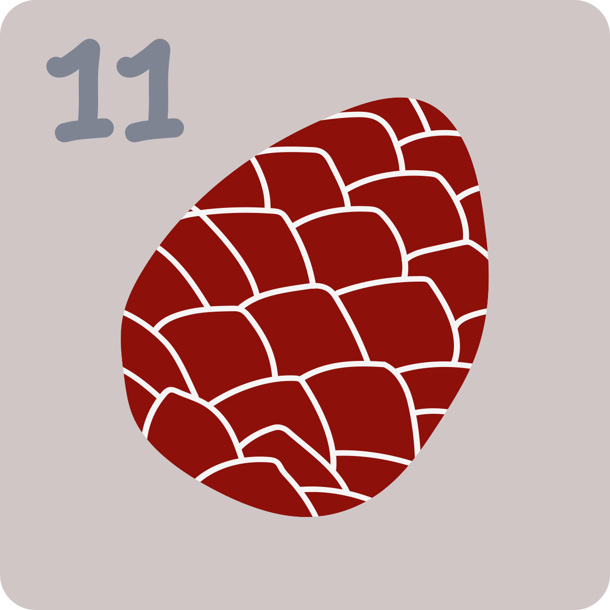 Sensus: 11 grudnia kalendarz adwentowy